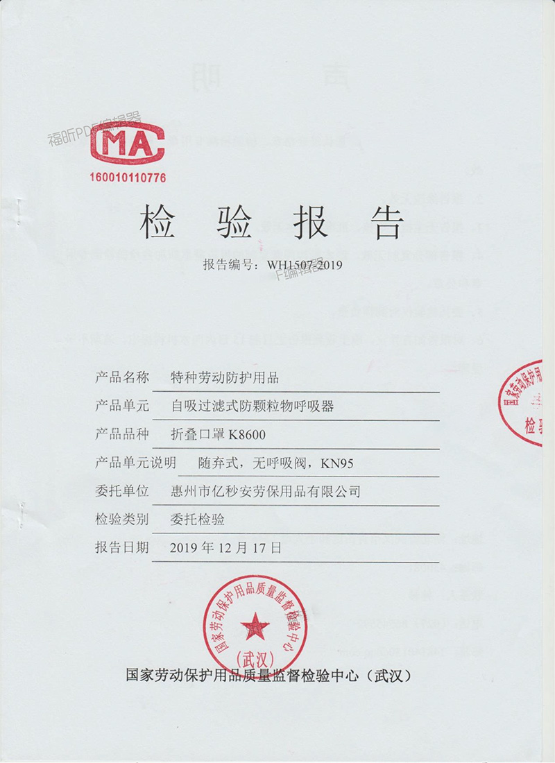 K8600 Wuhan Inspection Report WH1507-2019